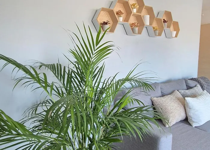 公寓 Lana #clim#terrasse - Meuble Classe 3etoiles 克莱蒙费朗